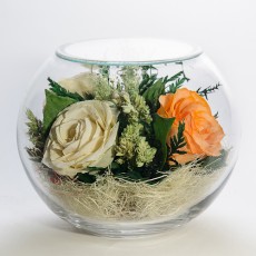 FIORA Арт: 34459(BSR3c) цветы в стекле